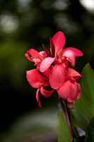 WHJ_0715
