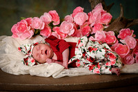 Brittney Brewer Newborn Twins Feb 2023